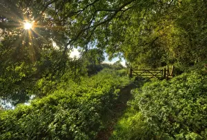 Gate Prints: Stour river walk