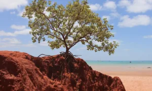 Stretching from Broome south towards Cape Villaret past Eco Beach
