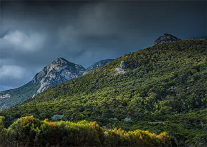 Strzelecki national park, Flinders Island, Bass Straight, Tasmania Strzelecki national park, Flinders Island, Bass Straight, Tasmania
