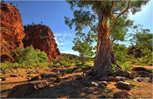 Landscape Puzzles Collection: Stubbs waterhole, northern Flinders Ranges, South Australia