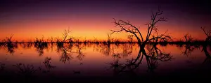 Stunning Australian outback sunset colours and with dead trees featured on Tandure Lake