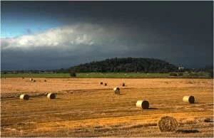 Images Dated 30th September 2011: Summer Harvest at Stirling, Scotland