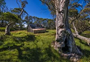 Images Dated 21st January 2017: A summer view of Wallaces Hut in the Alpine region of north east Victoria, Australia