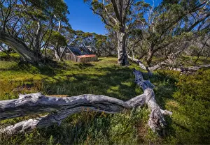 Images Dated 21st January 2017: A summer view of Wallaces Hut in the Alpine region of north east Victoria, Australia