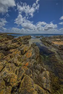 Summertime on King Island, Bass Strait, Tasmania, Australia