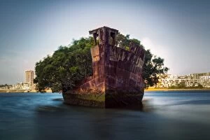 Images Dated 20th October 2016: The sunken shipwreck on the reef, Homebush Bay, Sydney, Australia