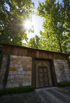 Kathryn Diehm Prints: Sunlight through trees over a building