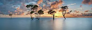 Awe Inspiring Australian Panorama Prints: Sunrise over Deception Bay