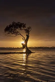Tracey Dee Photography Prints: Sunrise at Golden beach on the Sunshine Coast, Australia