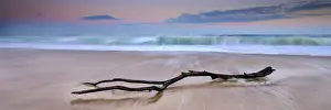 Kathryn Diehm Prints: sunrise log on beach