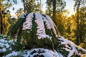 Sunrise at Mount Skene in Australian Alps, Victoria