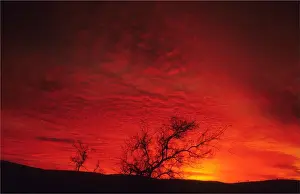 Sunrise of red in the Flinders Ranges, outback South Australia