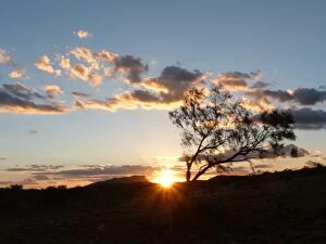 Images Dated 16th May 2014: Sunset in Alice Springs, Australia