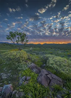 Images Dated 14th September 2015: Sunset in the Bunaroo valley in the southern region of Flinders Ranges National Park
