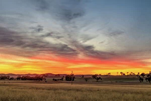 Images Dated 2017 July: Sunset Over Farmlands Near Mudgee