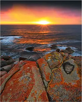 Images Dated 2000: Sunset at Grassy bay, King Island, Bass Strait, Tasmania, Australia