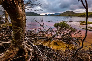 Sunset at Horseshoe Inlet deep in the Southwest Wilderness, Tasmania Sunset at Horseshoe Inlet deep in the Southwest Wilderness, Tasmania