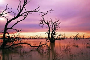 Images Dated 3rd April 2010: Sunset at Menindee Lakes, Outback NSW, Australia