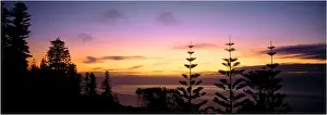 Back Lit Prints: Sunset at Puppies point, Norfolk Island