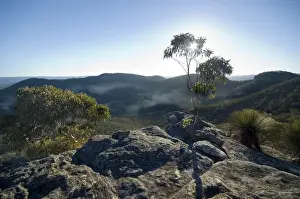Julie Fletcher Prints: Sunset Rock blue mountains