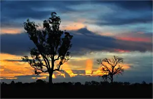 Images Dated 30th October 2009: Sunset at Traralgon, Gippsland, Victoria, Australia