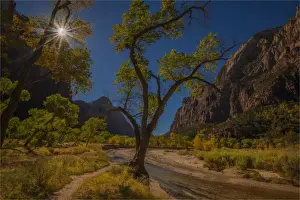 Eco Tourism Prints: Sunstar Zion National Park, Arizona, Western united States of America