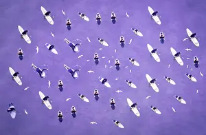 Vicki Smith Australian Landscape Photography Prints: Surf and Seagull Purple Abstract Pattern