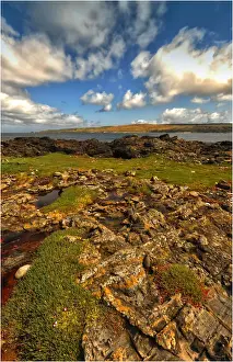 Images Dated 16th January 2011: Surpirse bay, King Island, Bass Strait, Tasmania, Australia