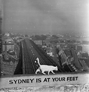 Images Dated 30th April 2014: Sydney At Your Feet