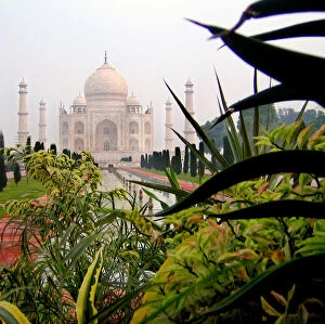 Jodie Griggs Collection: The Taj Mahal India