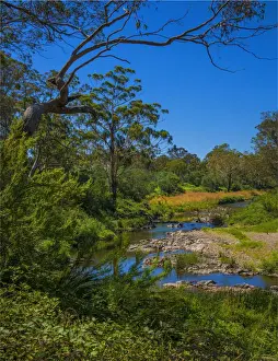 The Tambo river in Summer in the Alpine mountainous region of north east Victoria, Australia