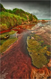 Tannin infused creek meandering its way onto the beach at Disappointment bay, King Island Tasmania