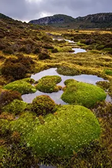 Walls Of Jerusalem Prints: Tarns and King Davis Peak in Walls of Jerusalem National Park, Tasmania