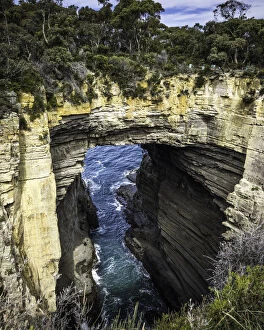 Images Dated 30th January 2021: Tasman Arch