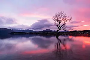 Tasmania (TAS)