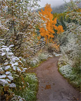 Telluride, Colorado, south western United States of America