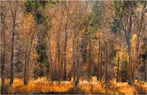 Colorado Prints: Telluride, Colorado, south western United States of America