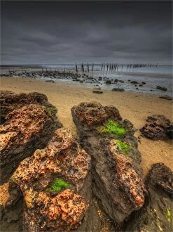 Images Dated 17th December 2013: Tenby point, Western port bay, Victoria, Australia