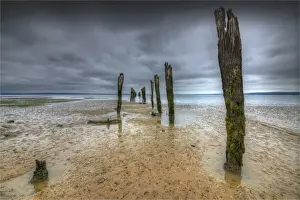 Tenby point, Western port bay, Victoria, Australia