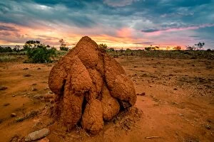 Images Dated 2nd October 2016: Termite mound