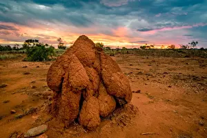 Termite Mound Prints: Termite mound