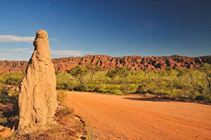 Images Dated 29th October 2010: Termites and Bungle Bungles