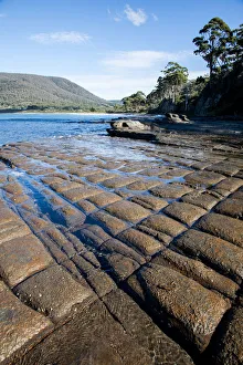 Tessellated pavement., Tasmania, Australia Tessellated pavement., Tasmania, Australia