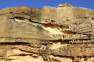 Images Dated 25th April 2014: Textured sandstone, Rainbow Valley