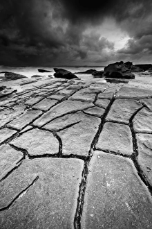 Textures on rocks, Whale Beach, Sydney Textures on rocks, Whale Beach, Sydney
