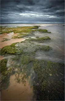 Tide Prints: Tidal flow, Hopkins river, Victoria, Australia