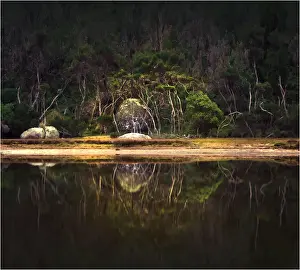 Explore the Untamed Beauty of this National Park, fondly known as ‘The Prom': Tidal river estuary, Wilsons Promontory national park, Victoria, Australia