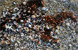 Tidal wash, Cape Patterson, Victoria, Australia