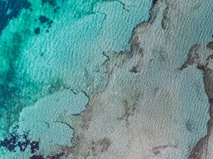 Tiger shark and ocean floor as seen from an aerial point of view, Shark Bay, Australia Tiger shark and ocean floor as seen from an aerial point of view, Shark Bay, Australia