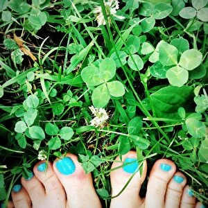 Images Dated 12th March 2015: Toes in Green Clover Four Leaf Clover